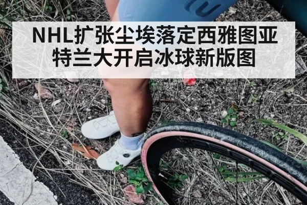 NHL扩张尘埃落定西雅图亚特兰大开启冰球新版图